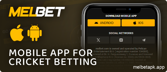 Cricket betting on Melbet app for ios and android devices